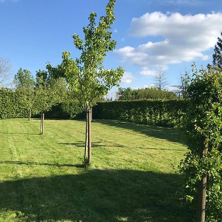 The Suite Escape Suite Wood Sint-Lievens-Houtem Esterno foto