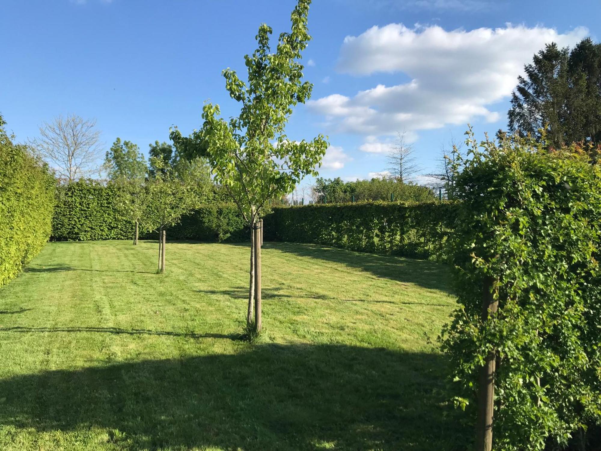The Suite Escape Suite Wood Sint-Lievens-Houtem Esterno foto